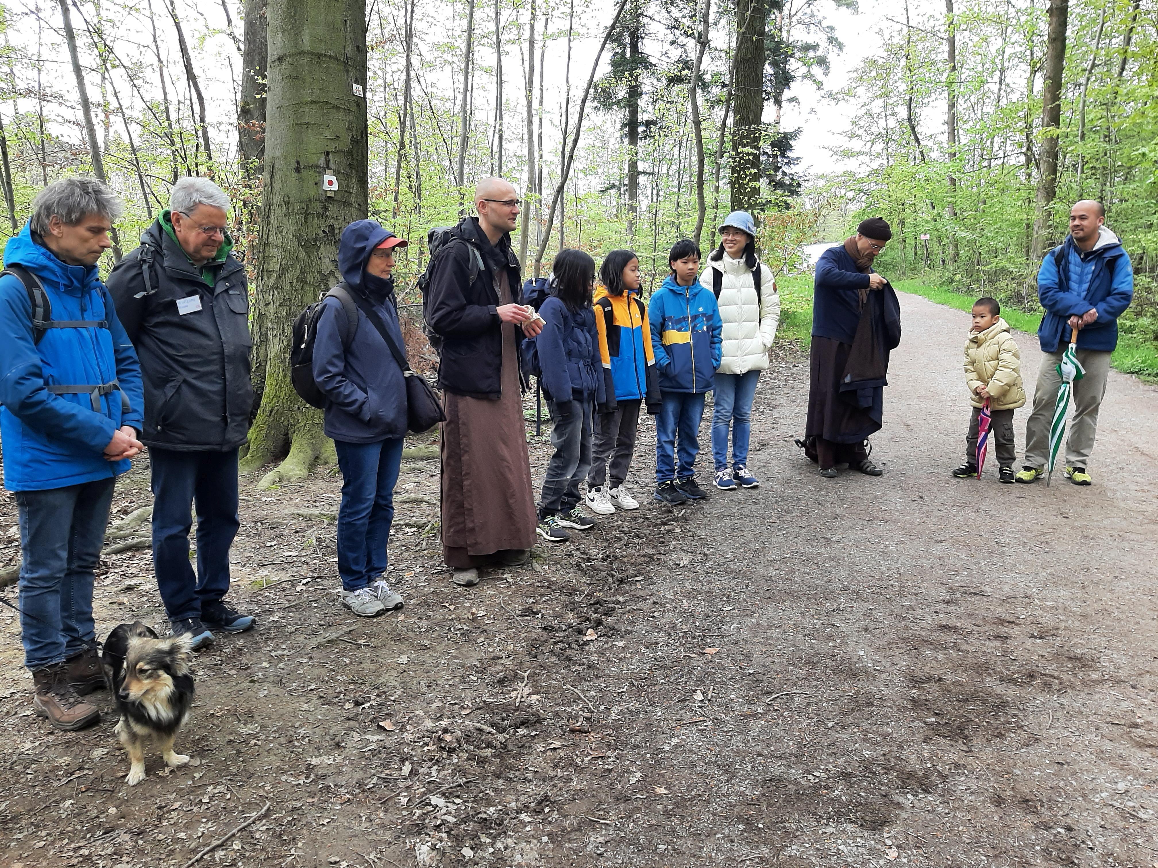 Gehmeditation im Wald
